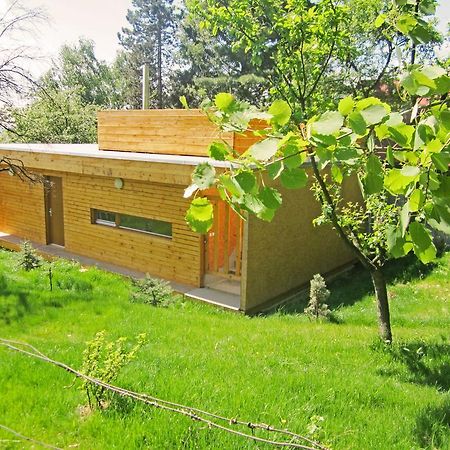 Vacation Home Pani Haje Moravany  Bagian luar foto
