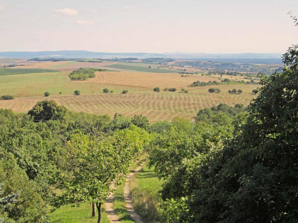 Vacation Home Pani Haje Moravany  Bagian luar foto